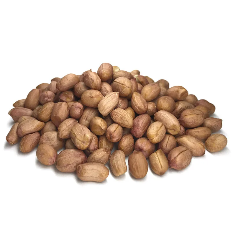 Amendoim Cru Graúdo - 100g - Imagem 1