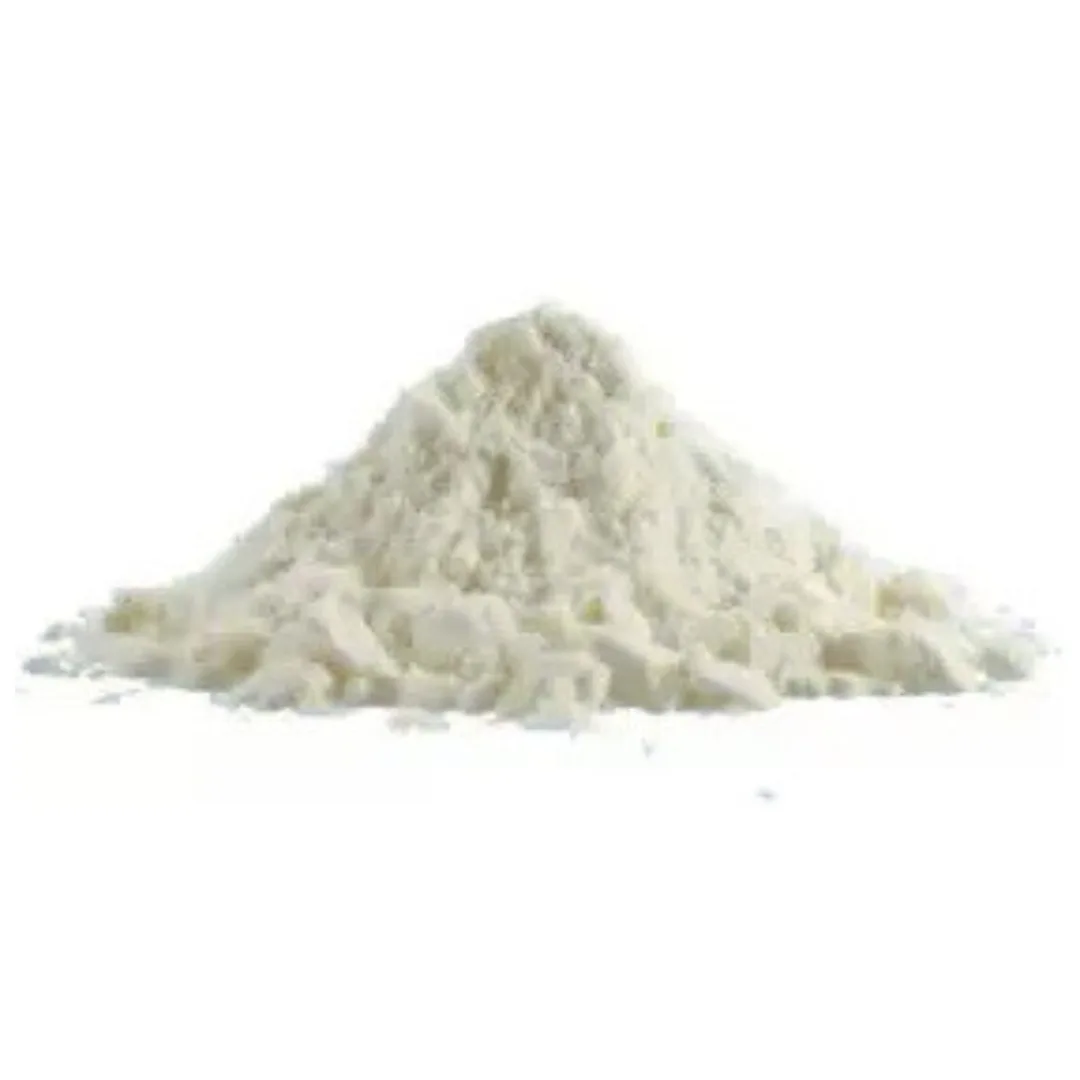 PRODUTOS SITE (3) Leite de Castanha de Caju em Pó - 100g - Imagem 1