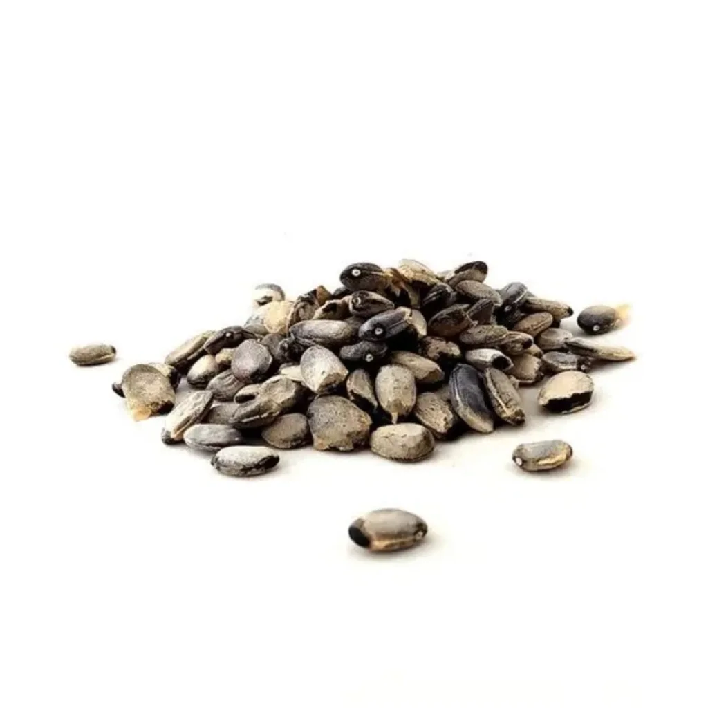 Emburana Semente - 100g - Imagem 1