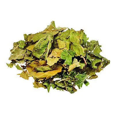 Folha de Amora Miura - 100g - Imagem 1