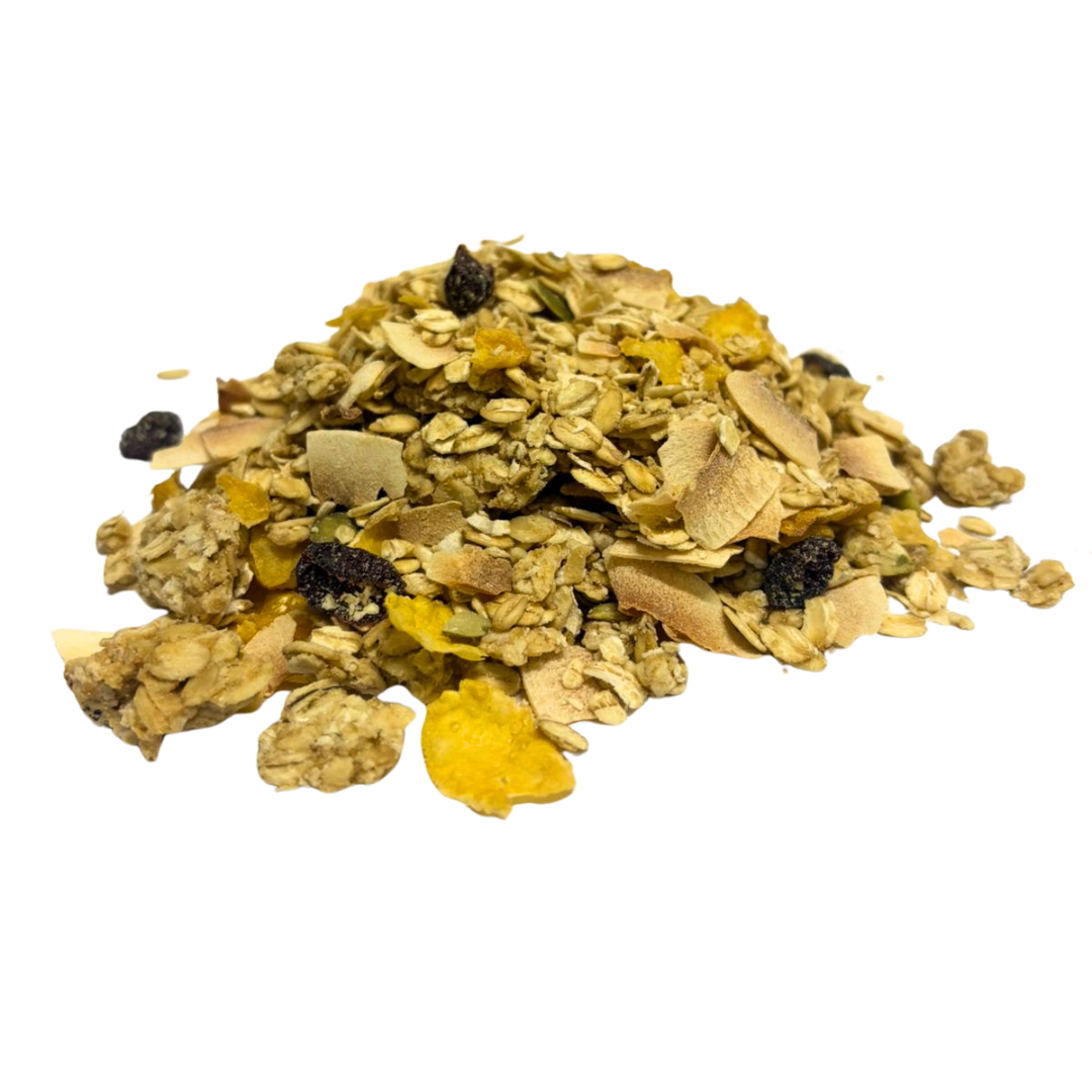granola zero acucar Granola Zero Açúcar Cranberry & Coco - 100g - Imagem 1