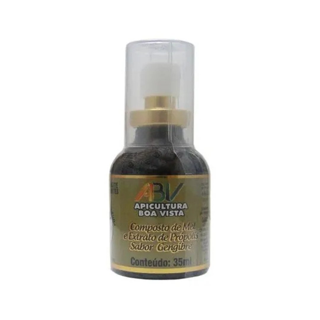 PRODUTOS SITE (65) Extrato de Própolis (Mel/Gengibre) 35ml ABV - Imagem 1