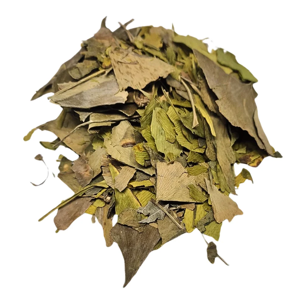 imagem-loja-integrada--42--9amp1j7ibq Ginkgo Biloba Folhas - 100g - Imagem 1
